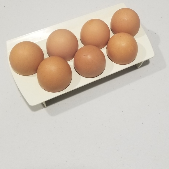 Plastic Egg Holder - Picture 1 of 3